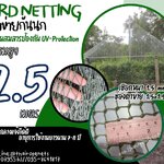 ตาข่ายล้อมรั้วกันนก bird netting ความสูง 2.5 เมตร รุ่นหนา 1.5 มิล ช่องตา 1.5x1.5 cm. สีเขียวขี้ม้า กดเลือกความยาวตามต้องการได้เลยค่ะ