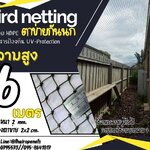 ตาข่ายดักนก กันนก bird netting ความสูง 6 เมตร รุ่นเชือกหนา 2 มิล ช่องตา 2 cm. สีดำ กดเลือกความยาวตามต้องการได้เลยค่ะ