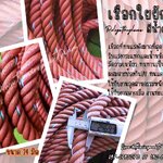 เชือกใยยักษ์ เชือก PE เกรด A สีน้ำตาล 24 mm. แบ่งขายค่ะ พร้อมส่ง เชือกลากเรือ งานทะเล เชือกผสมสารกัน UV