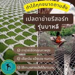 รุ่นบาหลี เปลตาข่ายคาเฟ่ เปลตาข่ายรีสอร์ท แข็งแรง ทนทาน รับรับน้ำหนักได้มาก ใช้งานกลางแจ้งได้ยาวนาน