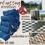 bird netting แบบยกม้วน ตาข่ายกันนก สีฟ้าอมเขียว เชือกหนาพิเศษ 2.5 มิล ช่องตา 2x2 cm.ตาข่ายกันนกเข้าในตึก ในบ้าน