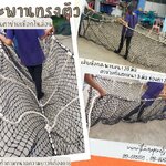 พร้อมส่งทุกขนาด สะพานเชือกทรงตัวพร้อมตาข่ายกันตก สะพานเชือกใยยักษ์ สะพานเข้าค่ายลูกเสือ สะพานเด็กเล็กมีกันตก สะพานกันตก