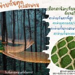 ตาข่ายกันตก ตาข่ายเชือกถัก ตาข่ายเชือกมะนิลาเทียม ตาข่ายกั้นตกราวระเบียง ตาข่ายกันตกราวสะพาน รับทำตามขนาดที่ต้องการ