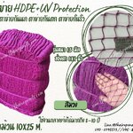 ตาข่ายอวน สีม่วง เชือกหนา 1.5 มิลช่องตา 1x1 นิ้ว ตาข่าย HDPE เคลือบสารป้องกัน UV ขนาดยกม้วน 10x25 เมตร