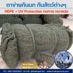 ตาข่ายติดบนเพดานโรงงาน ตาข่ายกั้นนก ตาข่ายป้องกันนกเข้าโรงงาน รุ่นมาตรฐาน UV Protection กันนก 100% ไม่ทำร้ายนก พร้อมส่ง