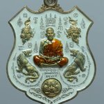 เหรียญอามหลวงพ่อพัฒน์ ปุญญกาโม รุ่นพยัคฆ์ห้ามหาเศรษฐี วัดห้วยด้วน นครสวรรค์ รายการที่ 7.5 เนื้อนวะ ลงยาขาว จีวรเหลือง หมายเลข ๕๘