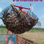 ตาข่ายยกมัน ถุงยกมัน ตาข่ายยกปาล์ม ตาข่ายงานเกษตรกร ตาข่ายสำหรับเคลื่อนย้ายไม้ผล หูหิ้ว 4 ด้านพร้อมใช้งาน