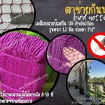 ตาข่ายกันนกบนคอนโด bird netting สีม่วง รุ่นหนา 1.5 มิล ช่องตา 1x1 นิ้ว เคลือบสารป้องกัน UV ทนแดด ทนฝน ใช้งานได้ยาวนาน