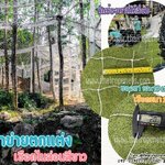 ตาข่ายตกแต่งสีขาว เชือกไนล่อนถัก เชือกเส้นเล็ก 2 มิล ช่องตาสี่เหลี่ยม 10x10 cm.รับทำตามขนาดที่ต้องการ