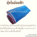 มุ้งไนล่อนฟ้า (ฺBlue Nylon Net) ตาข่ายไนล่อน มีลักษณะคล้ายมุ้งลวดประตูหน้าต่าง นิยมใช้เป็นมุ้งกันแมลงหรือศัตรูพืช เหมาะแก่การทำเกษตร หรือ กระชังเลี้ยงสัตว์น้ำ