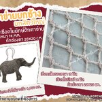 ตาข่ายยกช้าง ตาข่ายเคลื่อนย้ายสัตว์ Carring Bag เชือกใยยักษ์ถัก รับแรงดึงได้มากถึง 4,000 กก. รับทำตามขนาดที่ต้องการ
