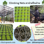 ตาข่ายปีนป่าย Climbing Nets สีดำ