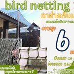 ตาข่ายล้อมรั้วกันนกพิราบ bird netting ความสูง 6 เมตร รุ่นหนา 1.5 มิล ช่องตา 2.5x2.5 cm. กดเลือกความยาวตามต้องการได้เลยค่ะ