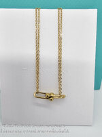 สีทอง | สร้อยคอทิฟฟานี่ TFN Double Link Pendant Necklace รุ่นดับเบิ้ลลิงค์ มี 3 สีให้เลือก ภาพถ่ายจากงานจริง งานสวยมาก พร้อมส่ง