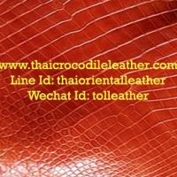 ร้านThai Crocodile Leather