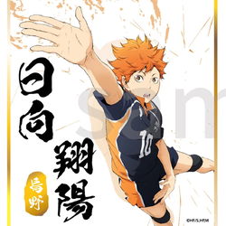 [ Shikishi Board ] Haikyu - Shoyo Hinata