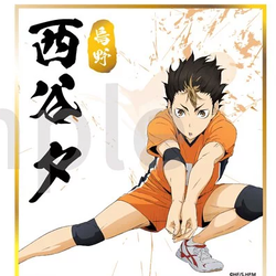 [ Shikishi Board ] Haikyu - Yu Nishinoya