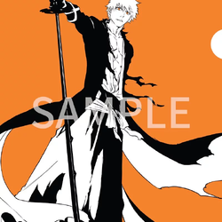 [ A4 Folder ] Bleach S8 (orange)