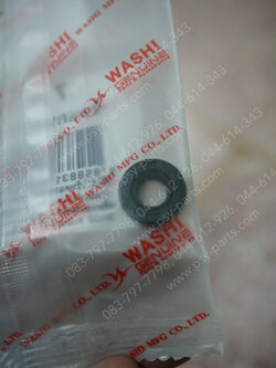 ซีลแกนวัดรอบ AKIRA