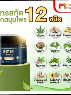 บาล์มสุขกายะ บาล์มเมล็ดกัญชงเฮิร์บส Hemp Seed Herbs Balm สูตรตำรับโบราณ : Healthy Hut
