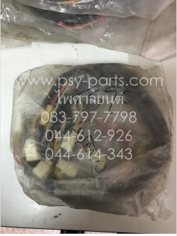 สายไฟชุด TS 90