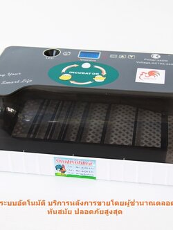 เครื่องฟักไข่อัตโนมัติ 12/35 ฟอง ตู้ฟักไข่ ตู้อบไข่ ฟักไข่ได้หลายขนาด ไข่ไก่ ไข่ห่าน ไข่นกกระทา