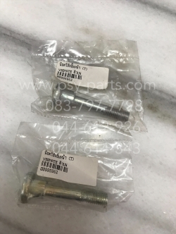 น็อตโช้คอัพหน้า Y 80MATE (T) ตัวบน