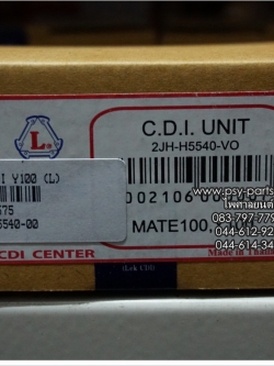 กล่อง CDI Y 100 (L)
