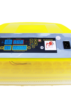 เครื่องฟักไข่ 56 ฟอง กลับไข่อัตโนมัติ