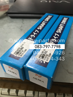 แกนสเตอร์หน้า AKIRA (T)