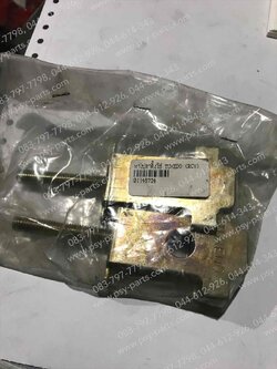 หางปลาตั้งโซ่ TUXEDO, NEON