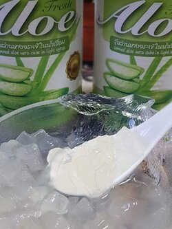 Aloe Fresh ว่านหางจระเข้ในน้ำเชื่อม เนื้อว่านหางจระเข้แท้ 100 % : Healthy Hut
