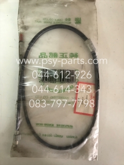 สายไมล์ JOY, SUNNY JOY