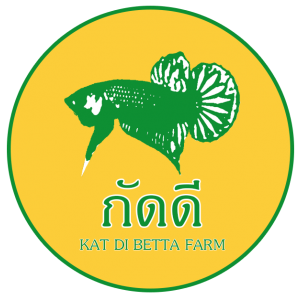 จุดประสงค์ เว็บ KIT DI BETA FARM