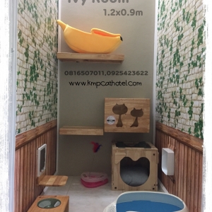 ห้องแมว Phase II (Aoshima Zone)