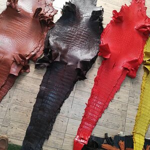 หนังจระเข้ผืน