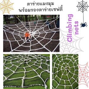 ตาข่ายแมงมุม