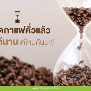เมล็ดกาแฟคั่ว แล้ว เก็บได้นานแค่ไหนกัน?