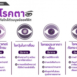 ผลิตภัณฑ์บำรุงสุขภาพดวงตาและระบบประสาทตา
