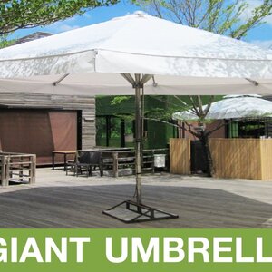 ร่มยักษ์