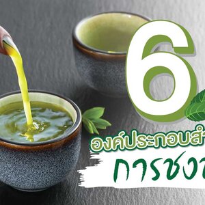 6 องค์ประกอบสำคัญ การชงชา
