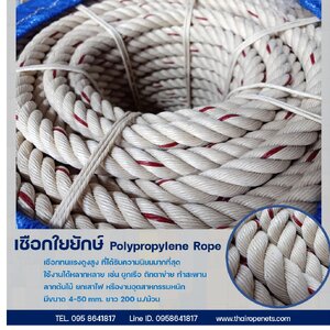 เชือก Rope