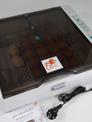 เครื่องฟักไข่อัตโนมัติ 36 ฟอง ตู้ฟักไข่ ตู้อบไข่ ฟักไข่ได้หลายขนาด ไข่ไก่ ไข่ห่าน ไข่นกกระทา