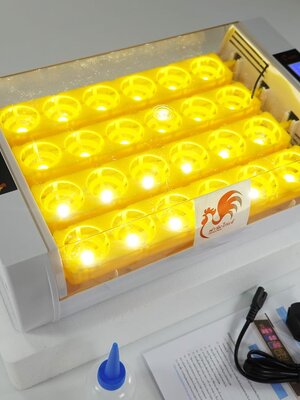 เครื่องฟักไข่ 24 ฟอง มีไฟ 24 ดวง LED ส่องเชื้อไข่ในตัว