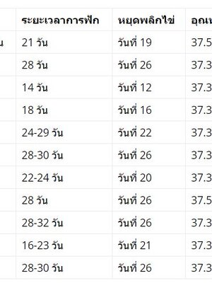 การฟักไข่ให้ฟัก 100% ตอนที่ 3 ปัจจัยสาคัญในการฟักไข่