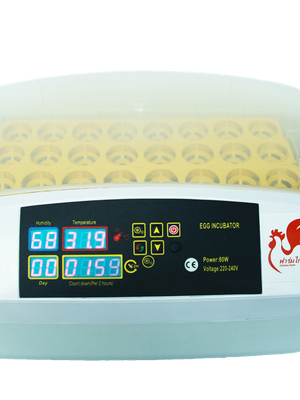 เครื่องฟักไข่ ขนาด 32 ฟอง รุ่น CF-32 กลับไข่อัตโนมัติ