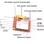 SIM800L GPRS adapter board GSM module microSIM card small size Core board With the Antenna DIY