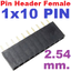 Pin Header Female 1x10 Pin Single Row Pitch 2.54mm High 8.5 mm. Straight pin