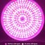 LED ปลูกผัก 8Watt ไฟ LED 290 ดวง E27 ใช้ภายใน สำหรับการปลูกผักไฮโดรโปนิกส์