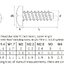 สกรูสแตนเลส ปลายตัด M3x8 mm.หัวกลมแฉก สีขาว stainless steel 304 round head flat tail self-tapping screw cross groove M3*8mm. เกลียวปล่อย